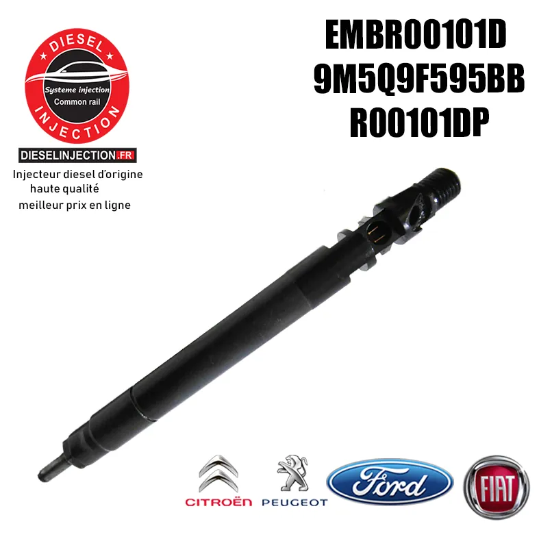 Injecteur DELPHI EMBR00101D