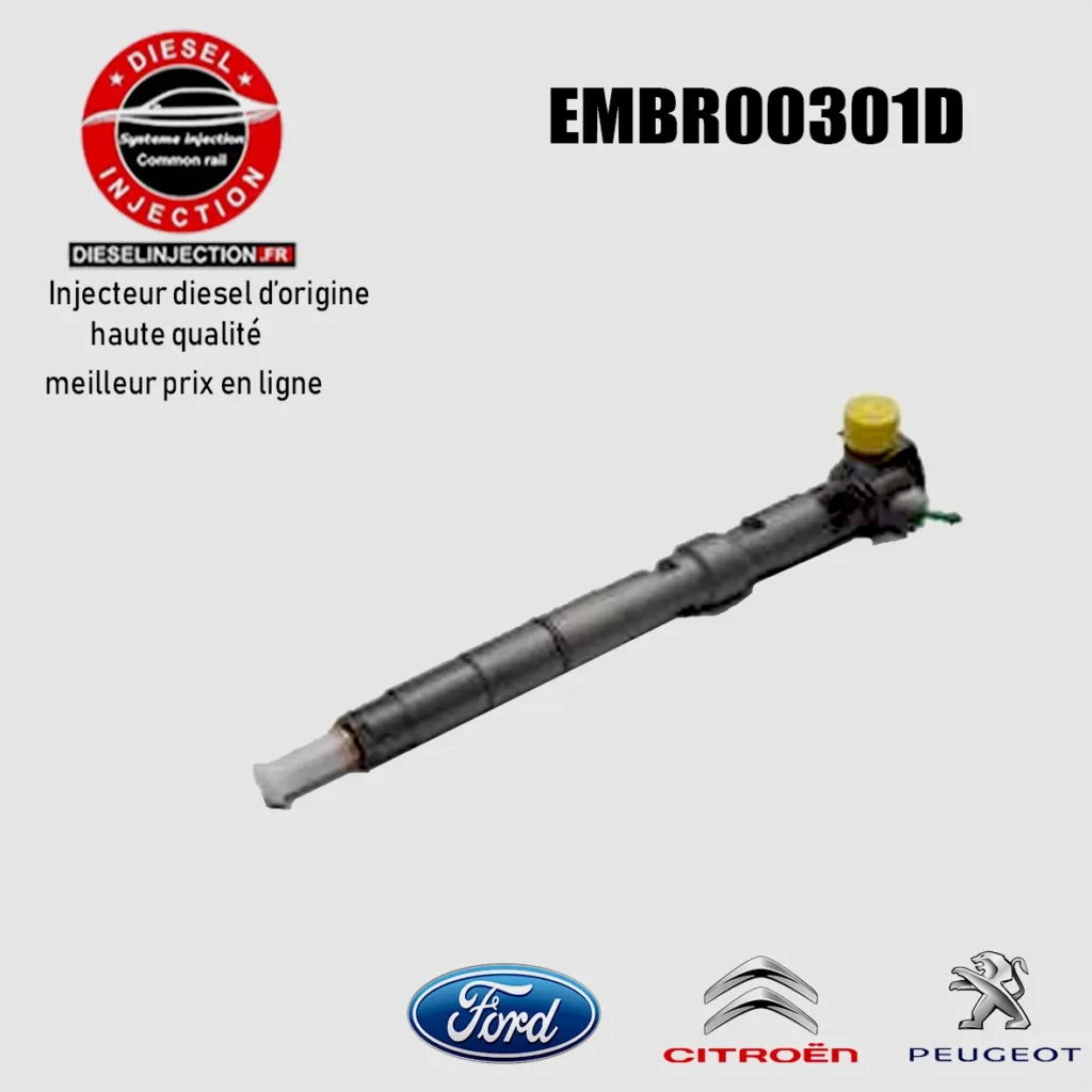 Injecteur Delphi EMBR00301D Neuf