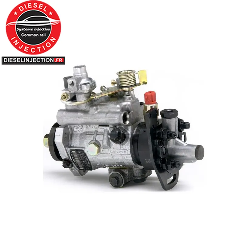 Pompe Delphi 8921A284G