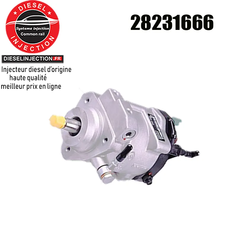 Pompe à haute pression DELPHI 2823166628231666