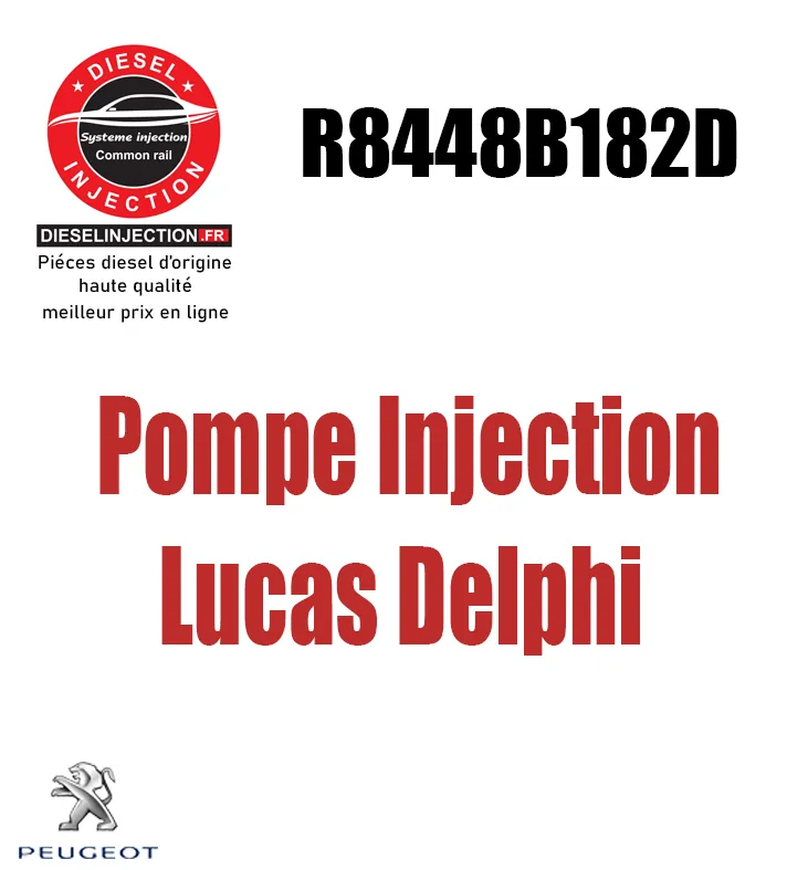 Pompe Injection Lucas Delphi R8448B182D