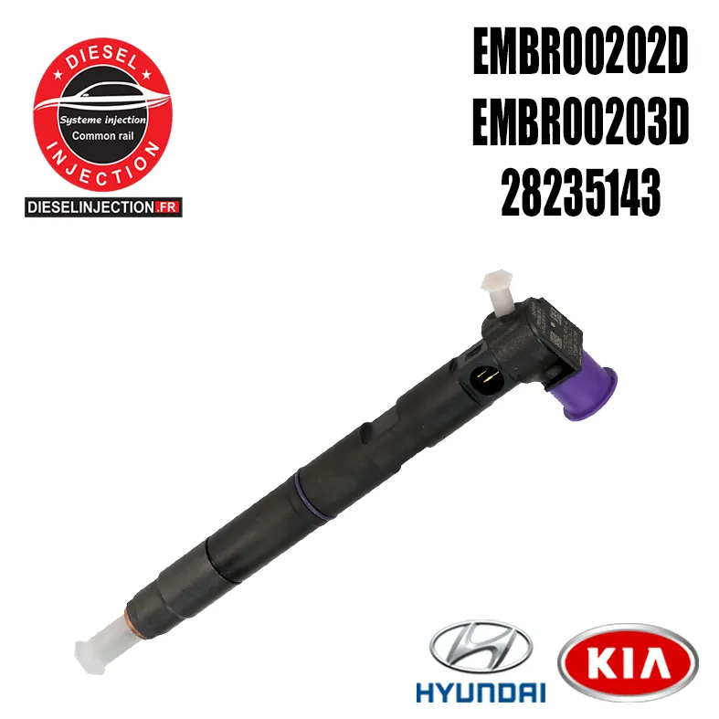Injecteur DELPHI EMBR00202D 28235143 Neuf