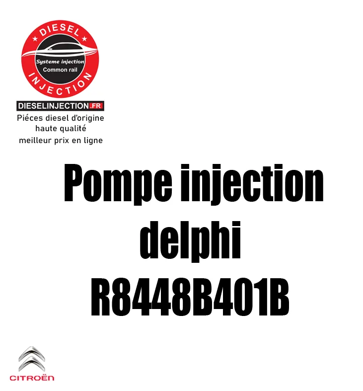 Pompe à injection DELPHI R8448B410B Réparation DELPHIR8448B410B