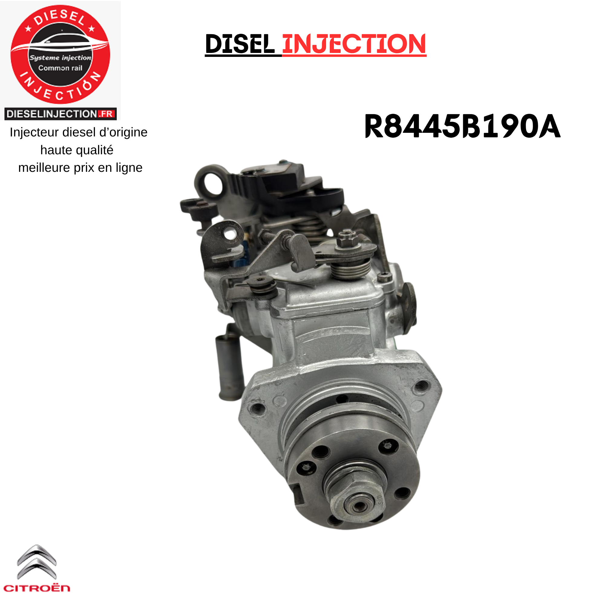 Pompe Injection R8445B190A R8445B191B Delphi Citroen Saxo 1,5 D (Type TUD5)R8445B190A R8445B191B R8448B182B R8448B391A