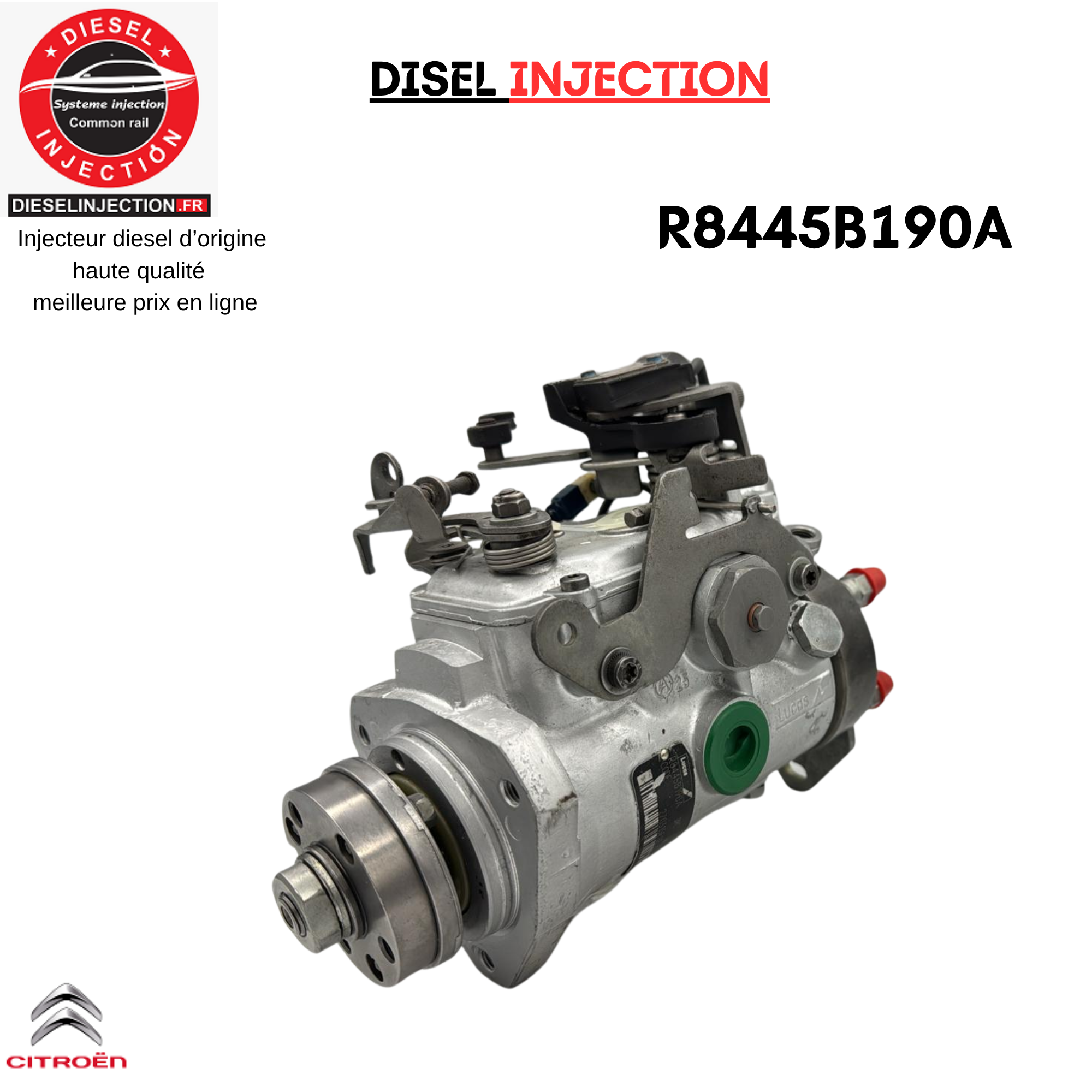 Pompe Injection R8445B190A R8445B191B Delphi Citroen Saxo 1,5 D (Type TUD5)