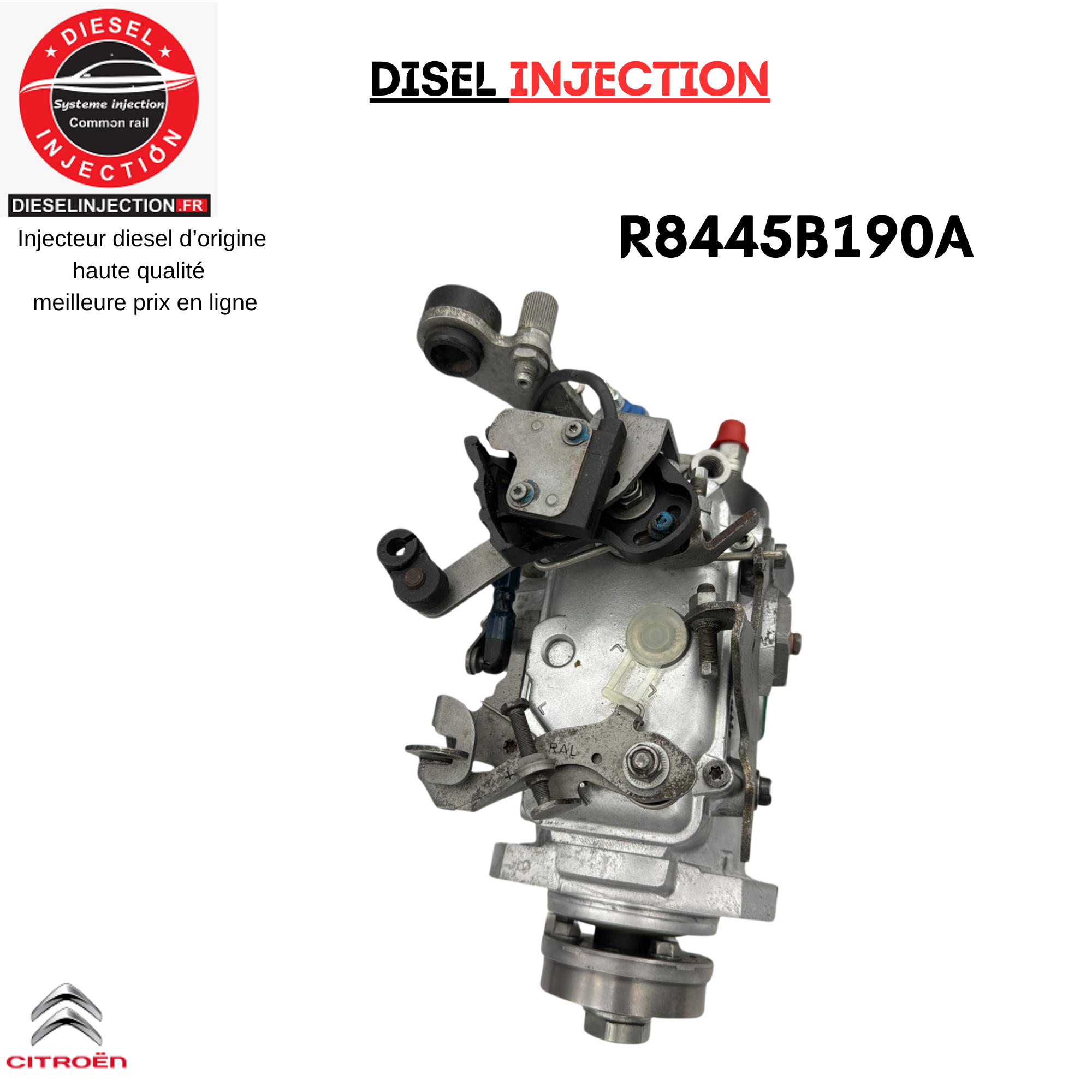 Pompe Injection R8445B190A R8445B191B Delphi Citroen Saxo 1,5 D (Type TUD5)R8445B190A R8445B191B R8448B182B R8448B391A