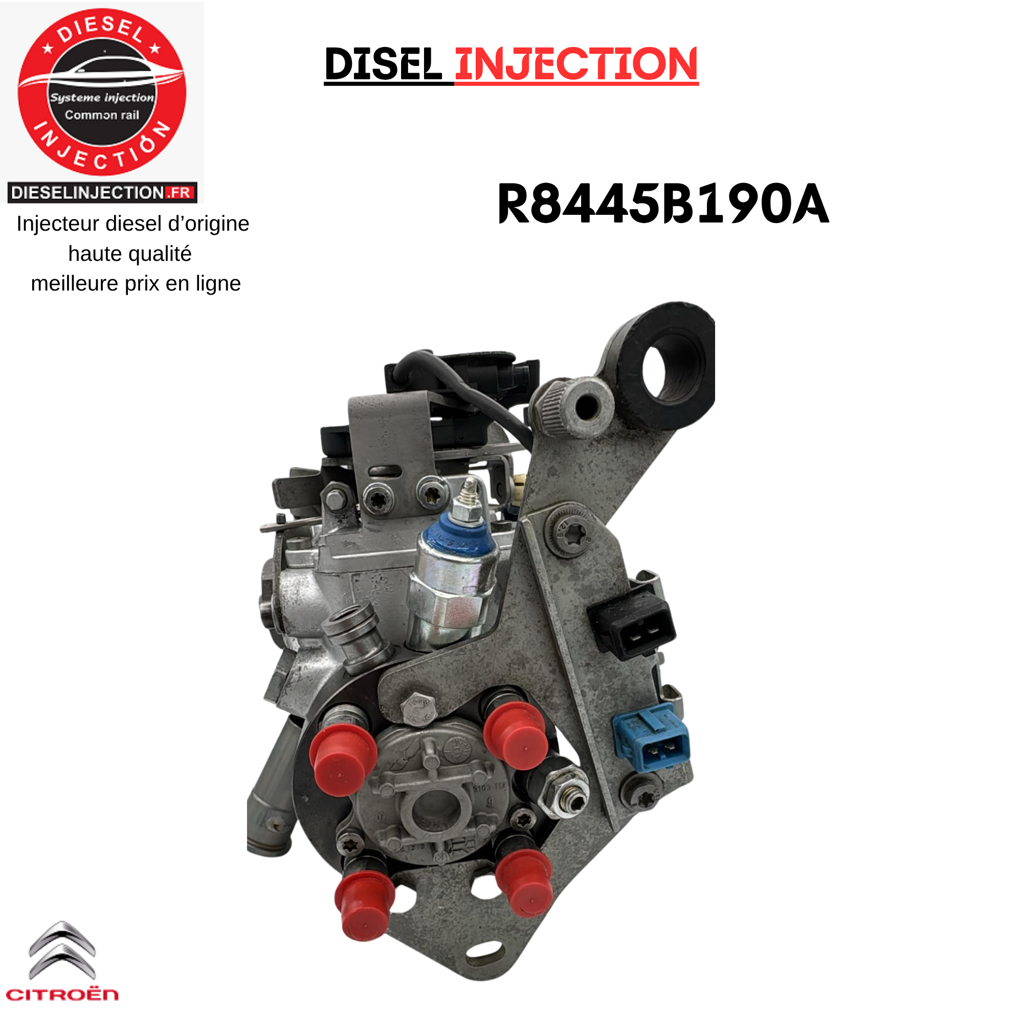 Pompe Injection R8445B190A R8445B191B Delphi Citroen Saxo 1,5 D (Type TUD5)R8445B190A R8445B191B R8448B182B R8448B391A